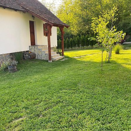 Rudnicki Eko Breg Villa Rudnik Dış mekan fotoğraf