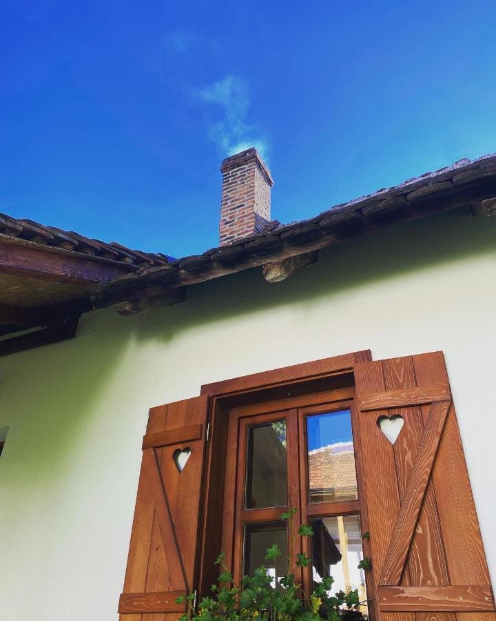 Rudnicki Eko Breg Villa Rudnik Dış mekan fotoğraf