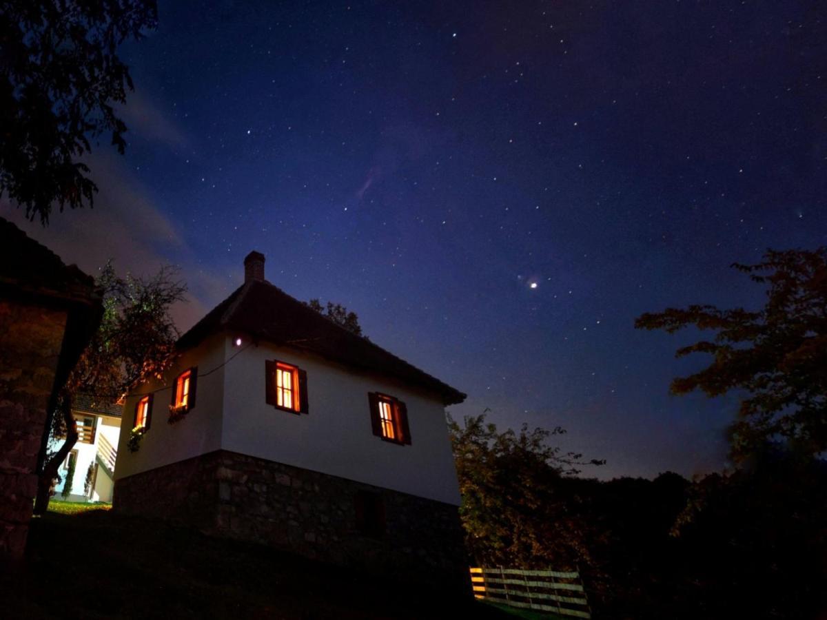 Rudnicki Eko Breg Villa Rudnik Dış mekan fotoğraf
